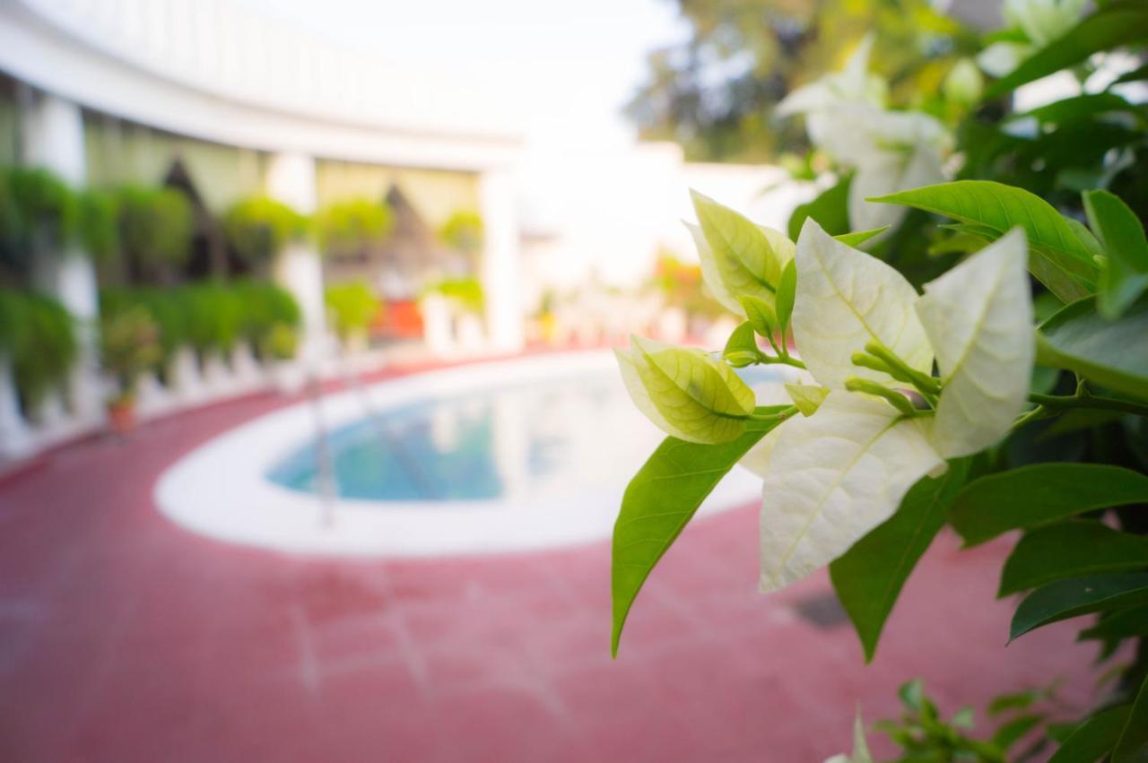 Hotel Grecia Real Сан-Сальвадор Экстерьер фото